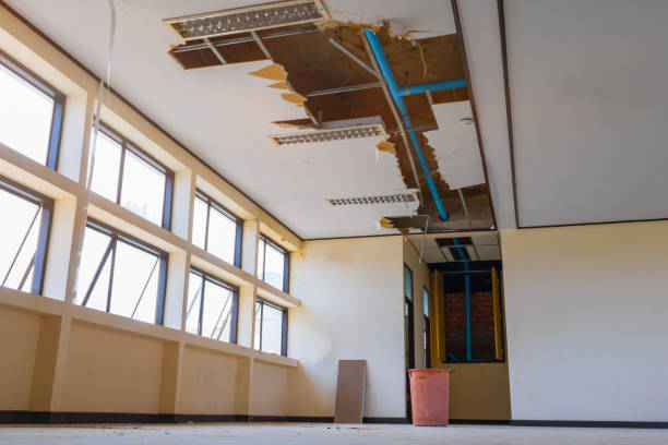 Best Ceiling water damage repair  in Long Lake, IL