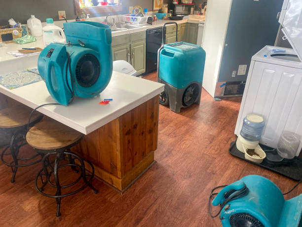 Best Water damage cleanup near me  in Long Lake, IL