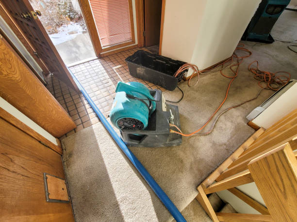 Best Emergency water extraction  in Long Lake, IL