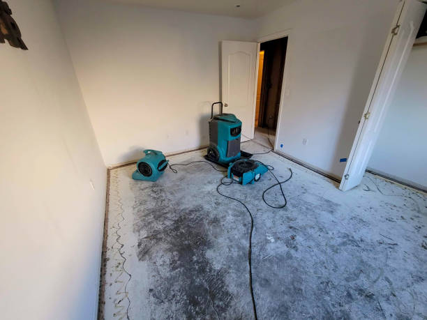 Best Water damage restoration mold remediation  in Long Lake, IL