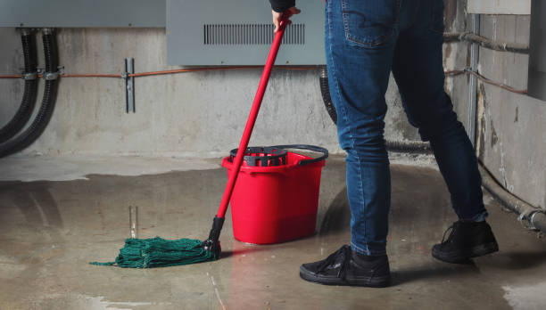 Best Water damage contractors near me  in Long Lake, IL