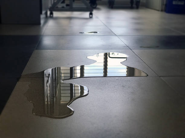 Best Water damage restoration near me  in Long Lake, IL