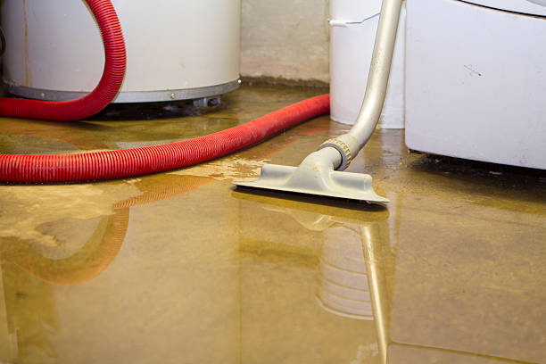 Best Sewage cleanup and water damage restoration  in Long Lake, IL