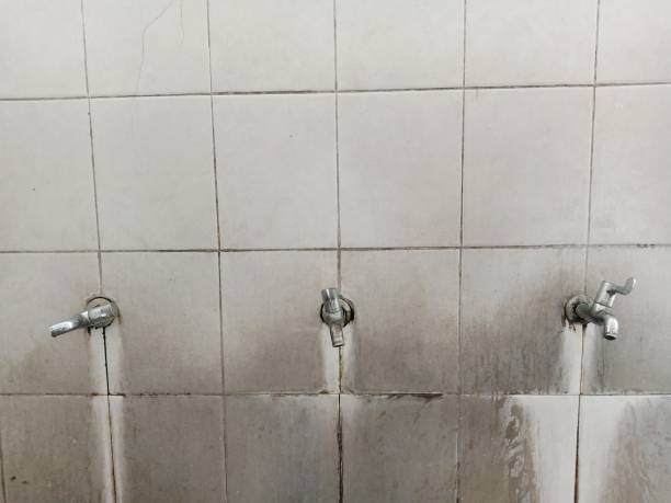 Best Emergency water damage restoration  in Long Lake, IL