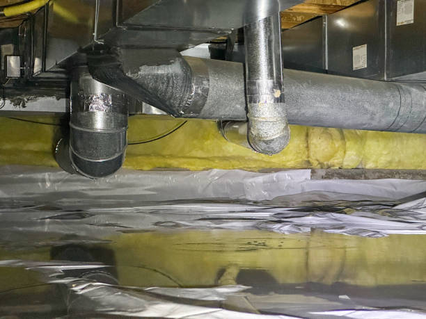 Best Mold removal after water damage  in Long Lake, IL