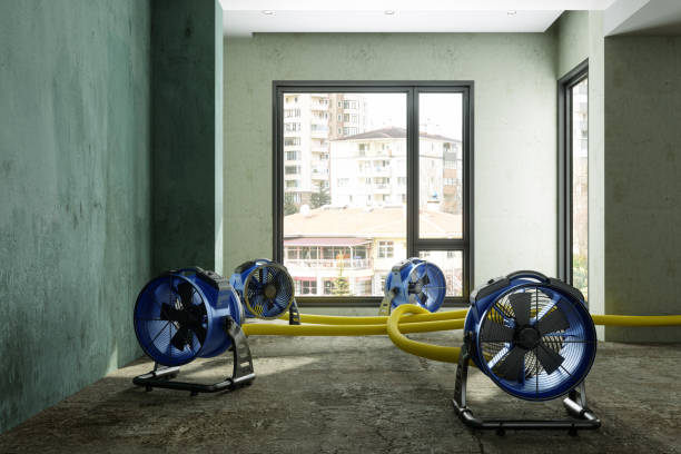 Best Basement water damage restoration  in Long Lake, IL