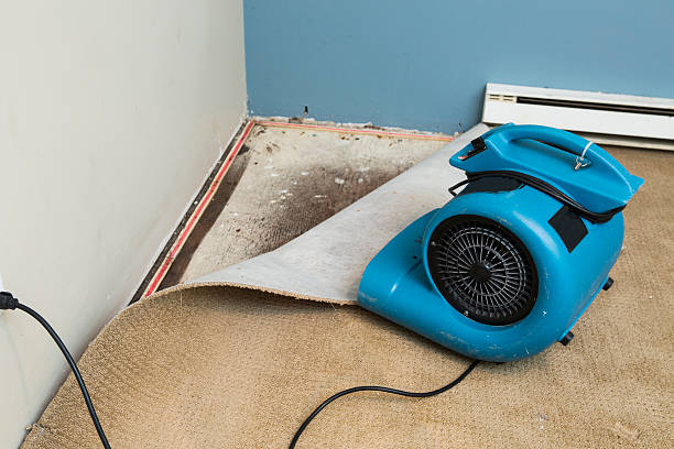 Best 24/7 water damage repair  in Long Lake, IL
